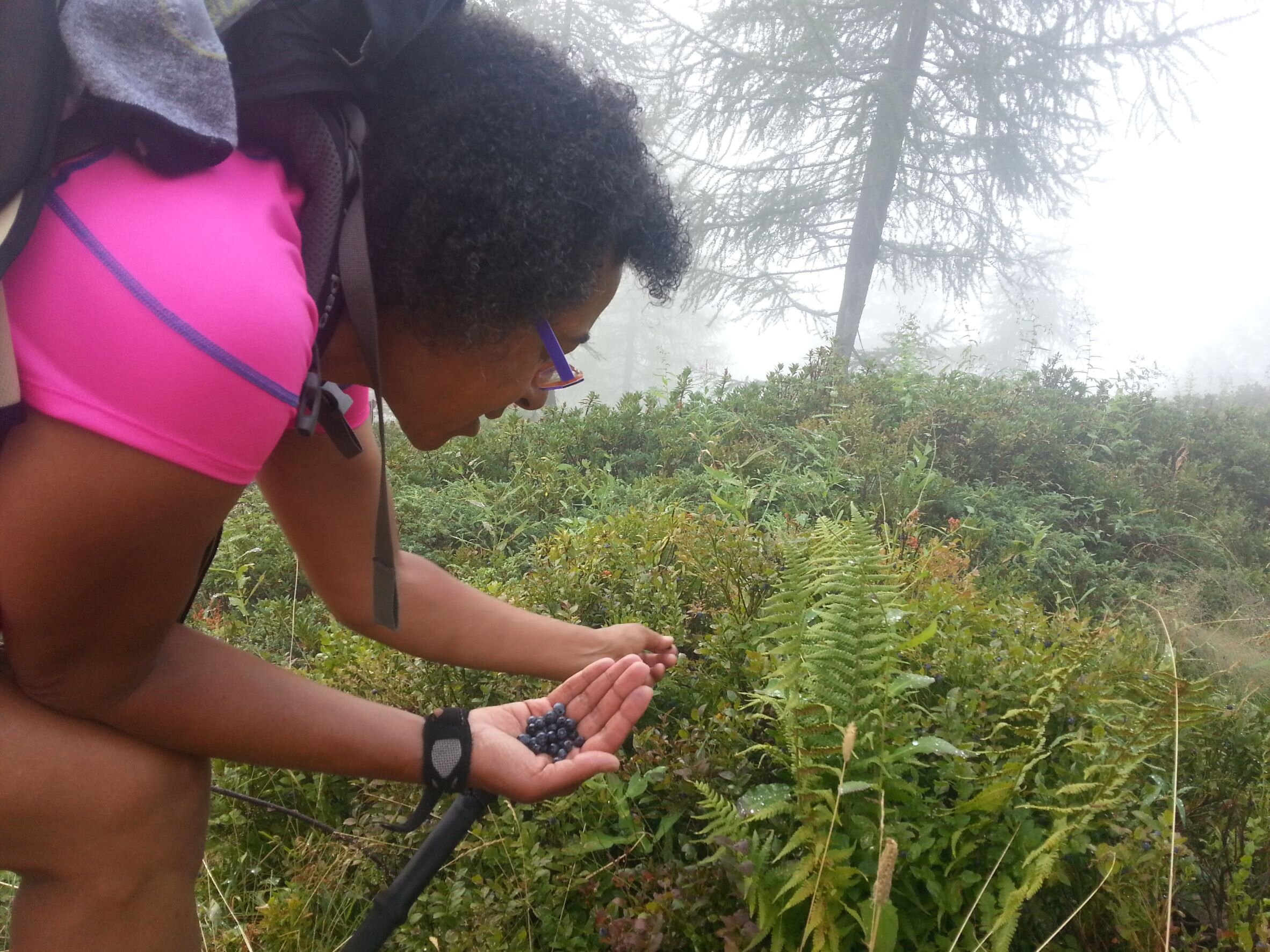 picking berries